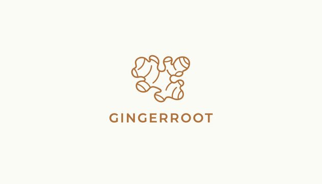 Minimalist linear gingerroot logo design featuring a single line art ginger root on a clean off white background.