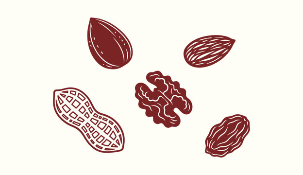 Hand drawn nuts collection with almond walnut peanut and raisin icons isolated on cream background.