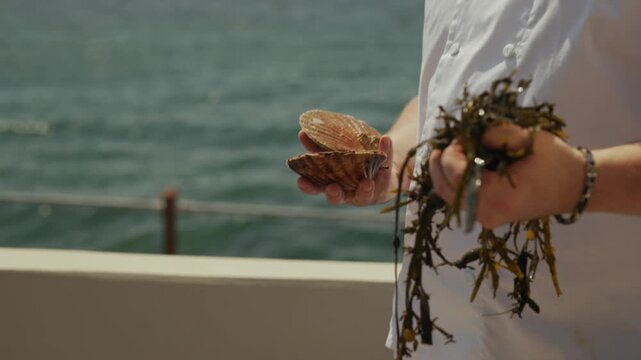 Person holds seashell and seaweed on a boat overlooking ocean water