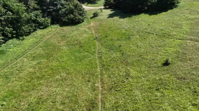 Vista dall'alto di un prato collinare attraversato da un sentiero sterrato che si snoda tra l'erba verso il bosco sullo sfondo: paesaggio rurale ripreso con drone