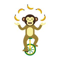 Monkey riding unicycle juggling bananas © MSTSAJEDA