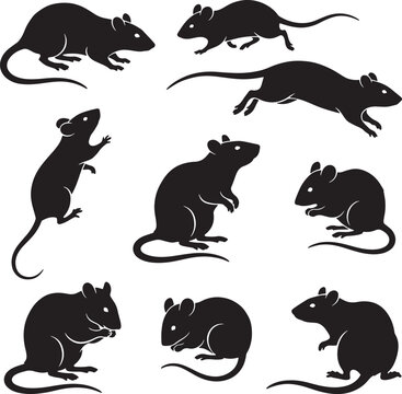 Black rat silhouettes collection, 9 vector mouse icons in various poses, rodent animal shapes for pest control and wildlife design