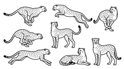 Cheetah poses line art collection. © Hana
