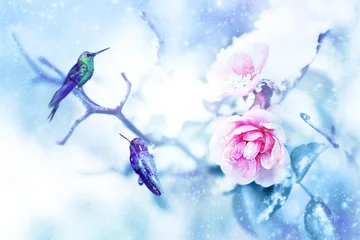Little fantastic blue birds colibri in the snow and frost on the background of beautiful pink roses. Artistic Christmas winter image. Selective focus. © delbars