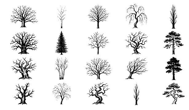 Tree Silhouette Vector Set Black Pine Bare Branch Forest Nature Illustration Collection for Landscape Design