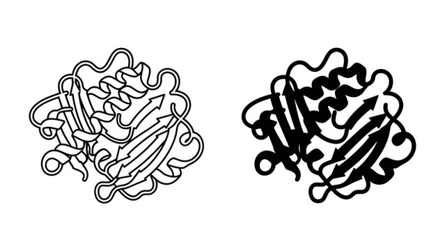 Protein Structure Illustration