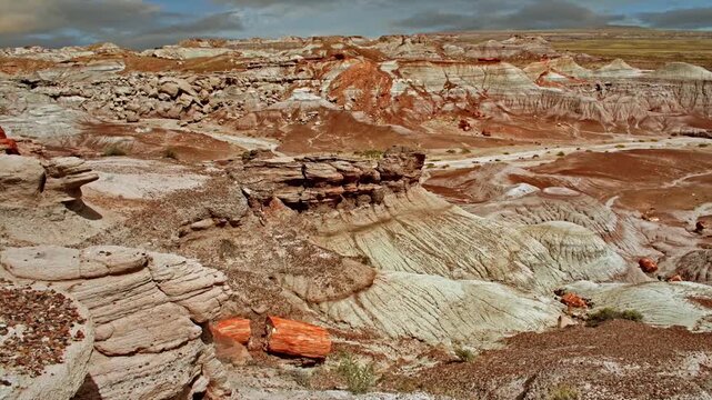 Fossilised wood in the Petrified forest national park , Arizona, USA