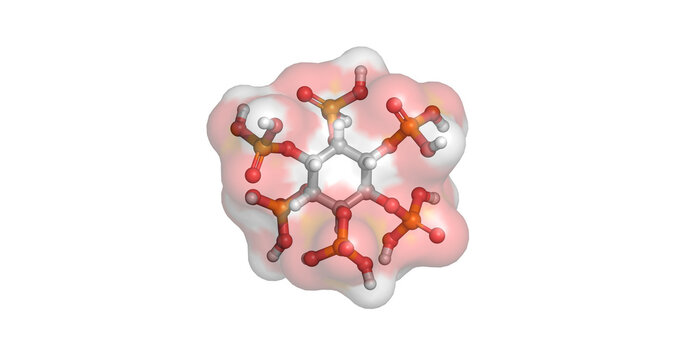 Inositol hexaphosphate, phytic acid compound for antioxidant and cellular health research, 3D molecule 4K