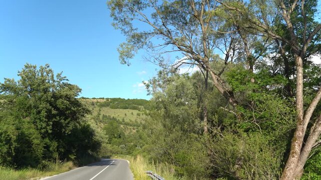 road in the forest
