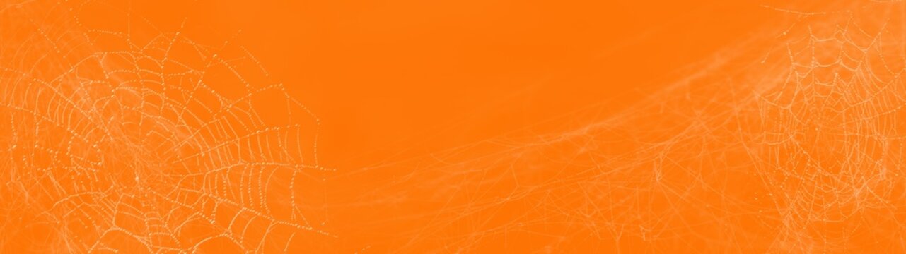 frame made of real creepy spider webs silhouette banner long panorama - Halloween spider web, spiderweb decoration template, isolated on orange background