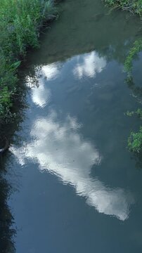 A river flowing in the forest and insects on the water, with a reflection of the blue sky and white clouds on the water