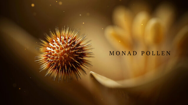 Monad pollen seed with sharp spines and blurred flower petal in warm light with particles floating around  natural microscopic view of plant reproductive part