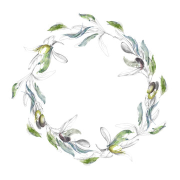 Decorative olive wreath, bay laurel twigs, fruiting branches. Hand drawn pencil outline, loose watercolor. Botanical design for gourmet packaging, artisan branding, cookbook covers, menu layouts.