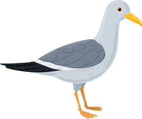 Obraz premium Seagull bird standing isolated, representing coastal wildlife and beach environments