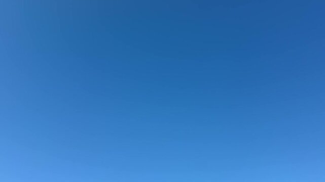 Flock of swallows birds  are darting across the blue sky, video with sound.