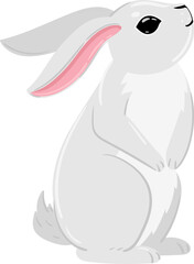 Adorable white bunny with pink ears standing upright on a plain background © WinWin