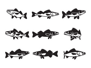 Fototapeta premium Swimming Walleye Fish Silhouette Collection in Solid Black Minimalist Style