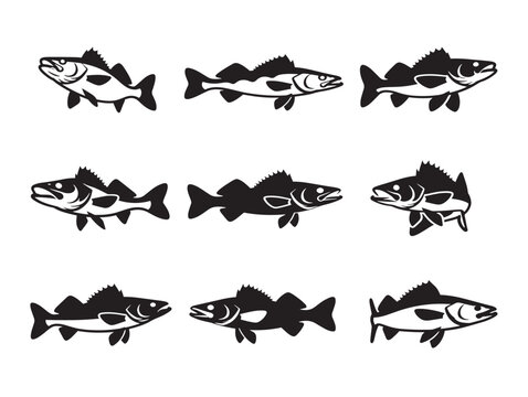 Swimming Walleye Fish Silhouette Collection in Solid Black Minimalist Style