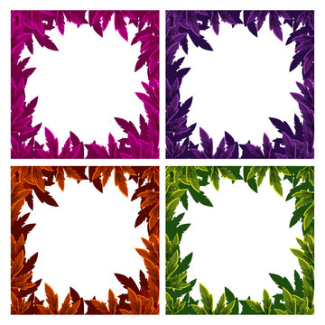 Set of Tropical Botanical Border Frames with Decorative Leaves