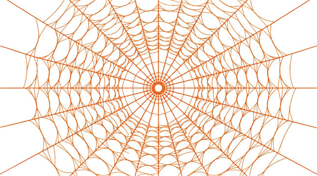 Intricate spider web with radial threads and spiral patterns on transparent background
