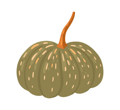 Hand-drawn autumn pumpkin. Vector.