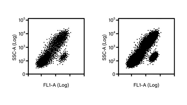 Flow Cytometry Scatter Plot: Two scatter plots illustrate data from flow cytometry analysis, depicting cell populations based on light scatter and fluorescence intensity.
