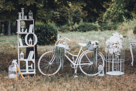 White bicycle stands in a sunlit field. Flowers adorn the frame and baskets. Books and trinkets rest on nearby shelves. Lush trees surround this peaceful scene. Lantern and cage sit beside the bike