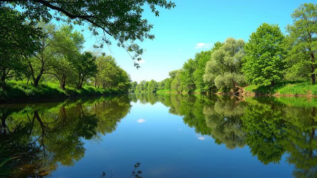 Bright sunny day with lush green trees reflecting in a calm blue river while sky is clear and cloudless