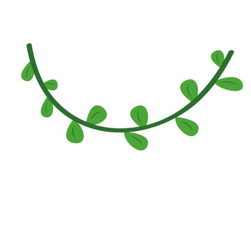 Curved green vine vector with leaves for elegant botanical decorative designs