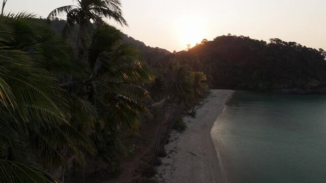 Aerial drone shot showing the palm tree tops along Wai Chek Beach in Koh Chang, featuring a beautiful sunrise and silouetted coastline