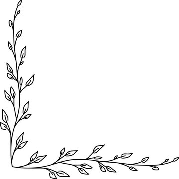 Hand-drawn botanical corner border