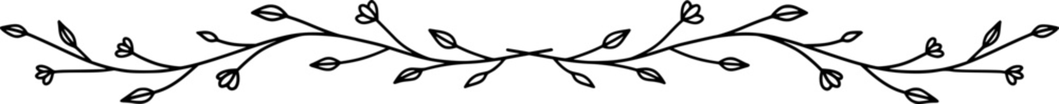 Hand-drawn vector - botanical horizontal divider