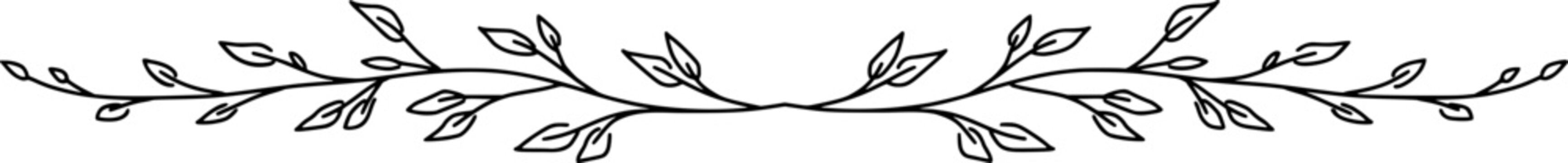 Hand-drawn vector - botanical horizontal divider