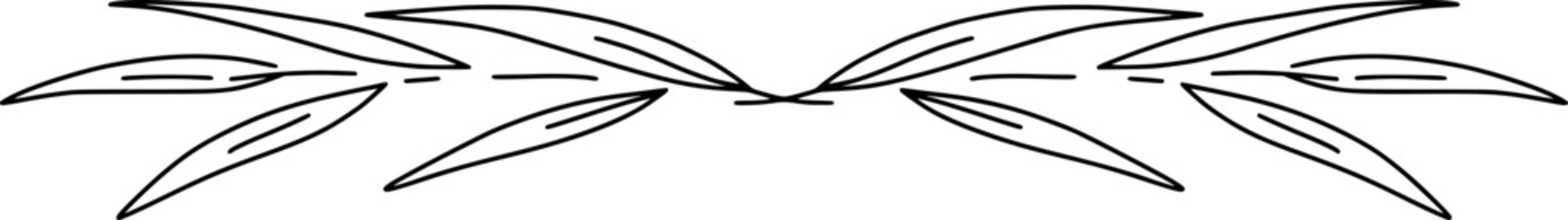 Hand-drawn vector - botanical horizontal divider