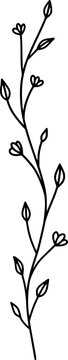 Hand-drawn vector - botanical vertical branch