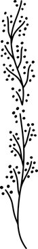 Hand-drawn vector - botanical vertical branch