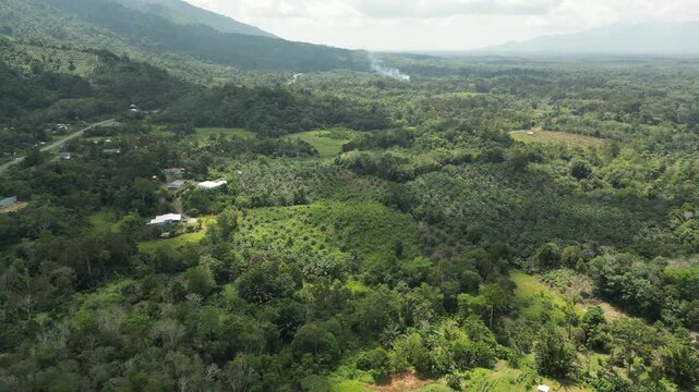 The village serves as a significant entry point through the Biawak ICQS (Immigration, Customs, Quarantine, and Security) Complex. This is a major route for cross-border travel to Aruk in the Sambas.