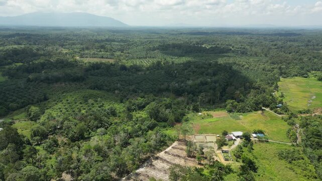 The village serves as a significant entry point through the Biawak ICQS (Immigration, Customs, Quarantine, and Security) Complex. This is a major route for cross-border travel to Aruk in the Sambas.
