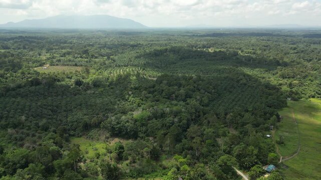 The village serves as a significant entry point through the Biawak ICQS (Immigration, Customs, Quarantine, and Security) Complex. This is a major route for cross-border travel to Aruk in the Sambas.