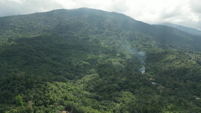 The village serves as a significant entry point through the Biawak ICQS (Immigration, Customs, Quarantine, and Security) Complex. This is a major route for cross-border travel to Aruk in the Sambas.