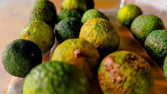 Group of fresh kaffir limes or limau in a container