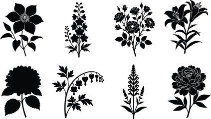 Black Silhouette Botanical Flower Collection with Blooming Floral Plants and Garden Flower Illustrations © Sabbir