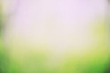Obraz premium Blurred green background, gradient and summer bokeh, delicate soft color, blank form