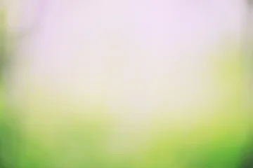 Blurred green background, gradient and summer bokeh, delicate soft color, blank form © kichigin19