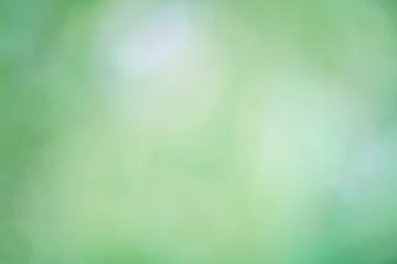 Blurred green background, gradient and summer bokeh, delicate soft color, blank form © kichigin19