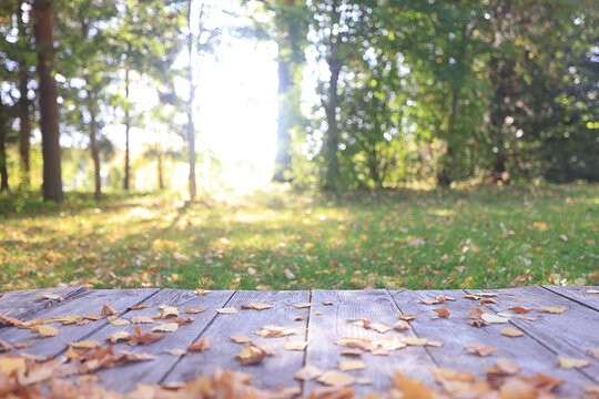 wooden podium view of autumn park with fallen yellow leaves, autumn background