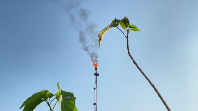 Industrial oil refinery flare stack burning gas with thick black smoke rising against bright blue sky and foreground foliage.