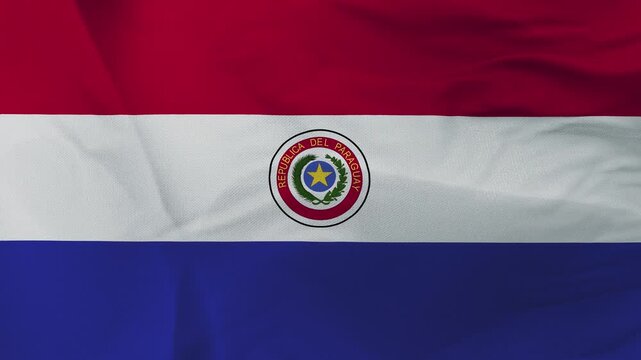 Paraguayan flag fabric with national emblem and red white blue stripes