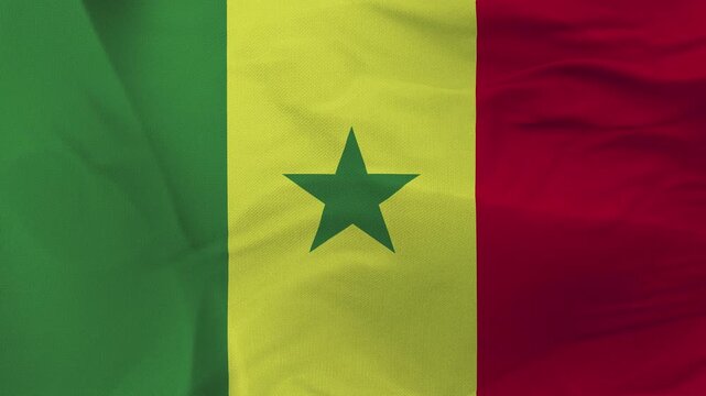 Senegalese flag fabric with green star and vertical stripes