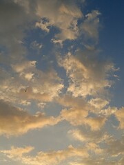 Fototapeta premium Scattered fluffy clouds illuminated by warm golden hour sunlight against a blue sky.